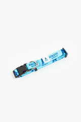 Athletic Brewing Co. Dog Collar - Blue